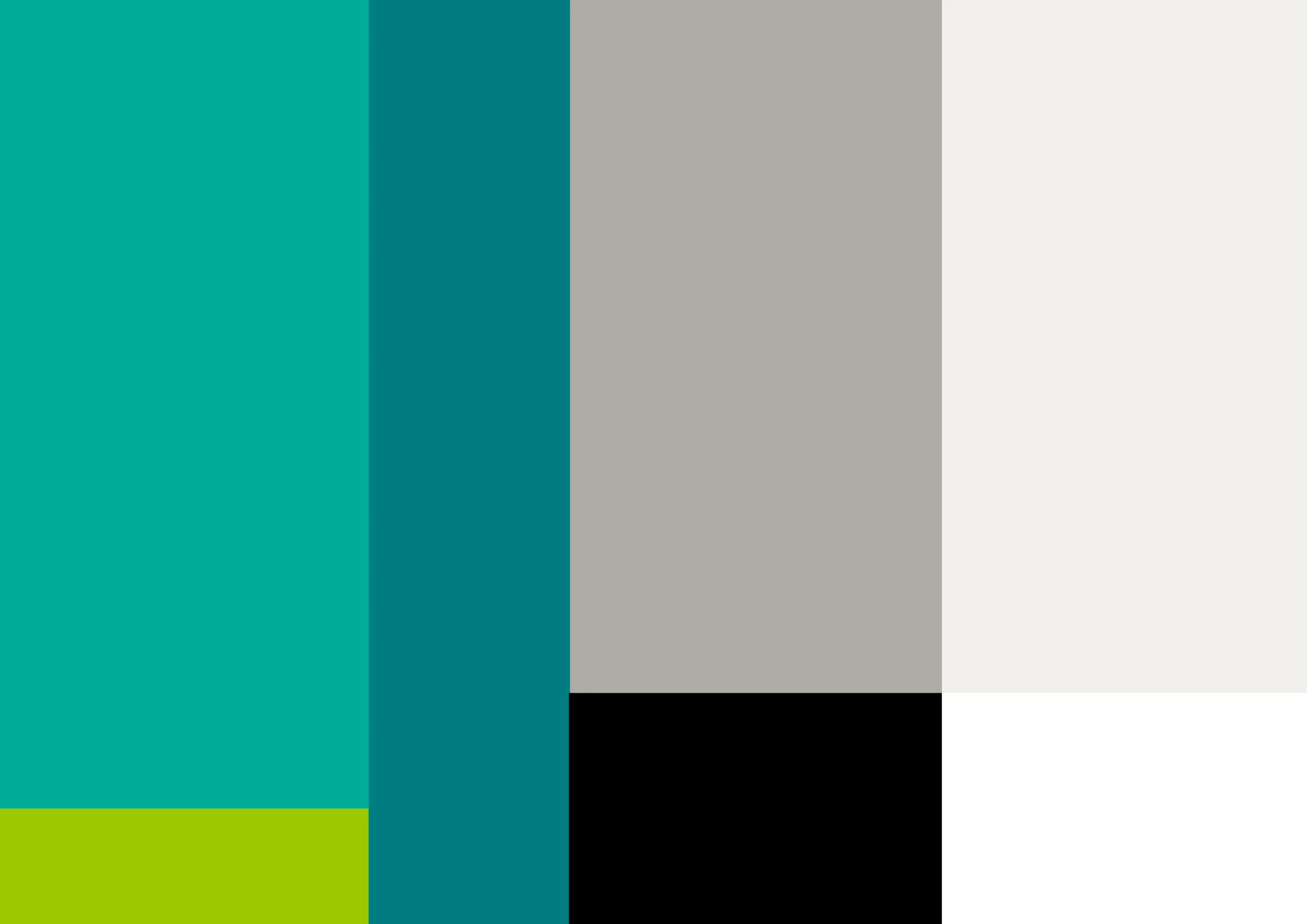 harwig-maatwerk-website-design-kleurgebruik-webba-2026