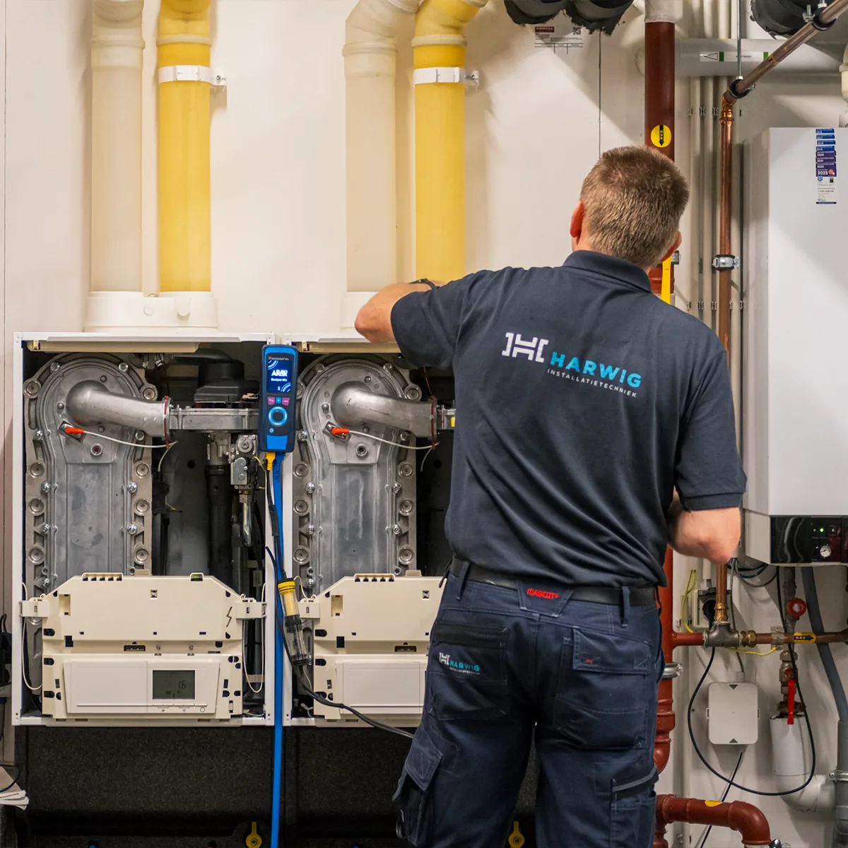 harwig-structuur-2-webba-2026