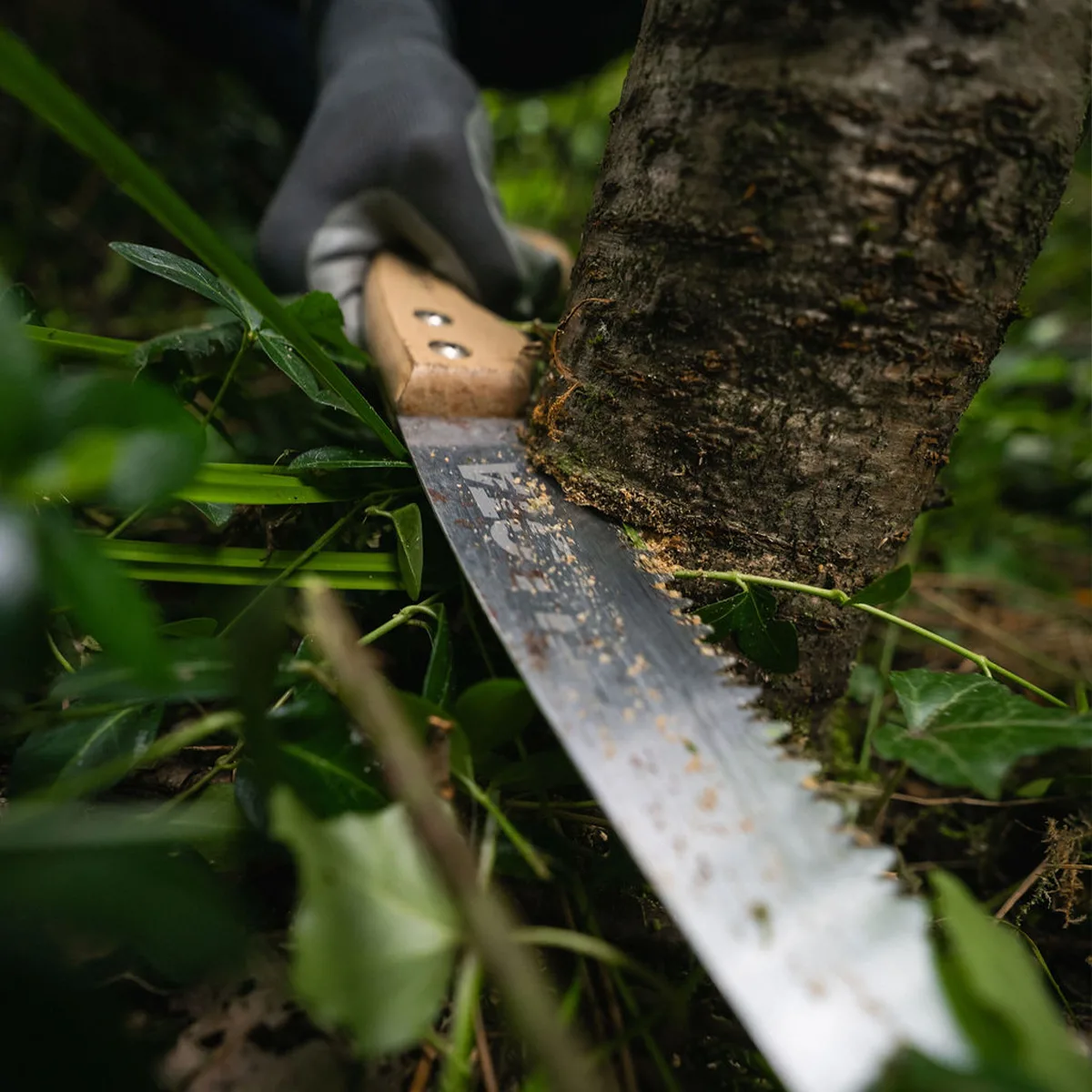 lvs-tuinonderhoud-fotografie-door-webba-2-webba-2026